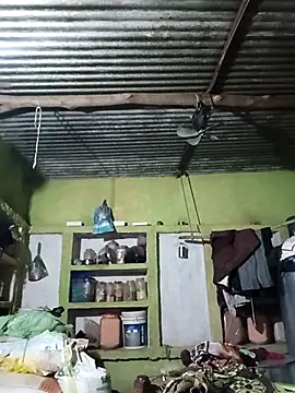 Snapshot of Haliya88 chatting on October 6, 2025, 6:49 pm Haliya88 online show from October 6, 2025, 6:49 pm