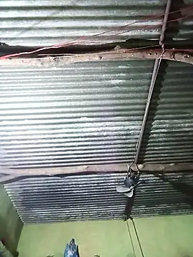 Snapshot of Haliya88 chatting on October 29, 2025, 10:55 pm Haliya88 online show from October 29, 2025, 10:55 pm