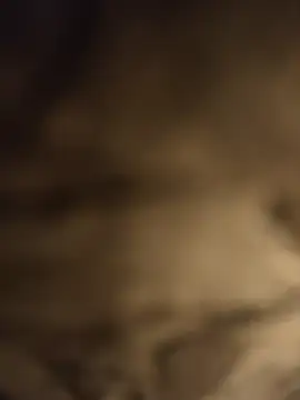  online show from September 21, 2025, 11:34 am