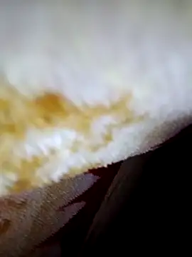 Snapshot of alone_boy802 chatting on October 6, 2025, 4:15 pm alone boy802 online show from October 6, 2025, 4:15 pm