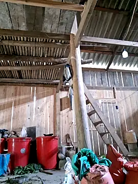 xuxulovezz online show from April 4, 2026, 4:44 am