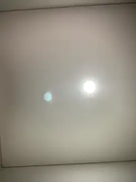 miiabrown18 online show from November 11, 2025, 1:16 am