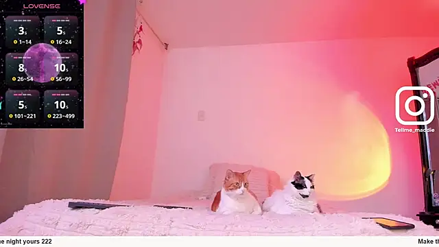 tellmemaddie online show from November 1, 2025, 8:11 pm