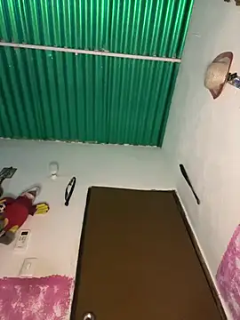 Pingasaboy20 online show from March 11, 2026, 9:21 pm