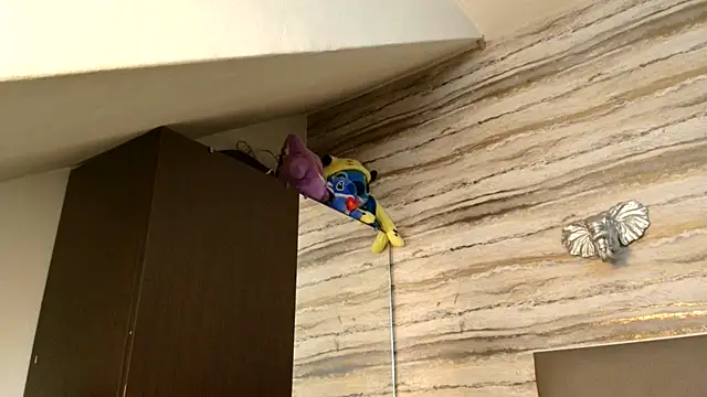 Lovers 21 online show from January 6, 2026, 3:32 am