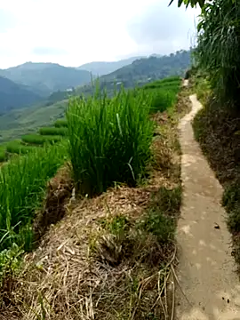 Snapshot of nhinhi-sexy chatting on October 10, 2025, 5:39 am nhinhi-sexy online show from October 10, 2025, 5:39 am