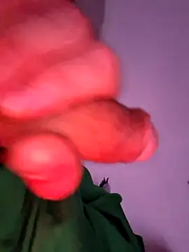 Nikbullx online show from October 27, 2025, 10:03 pm