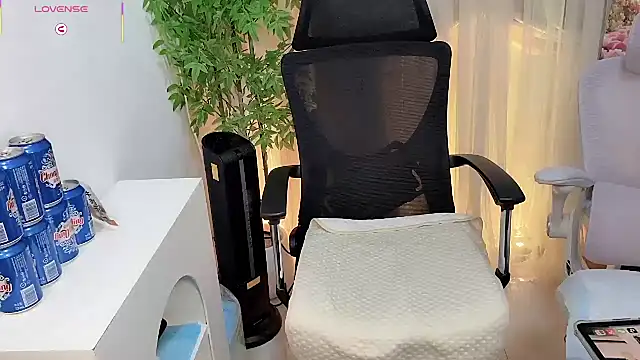 NEWONETO online show from December 16, 2025, 1:05 pm