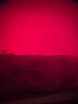 bellacagyal online show from November 13, 2025, 9:08 am