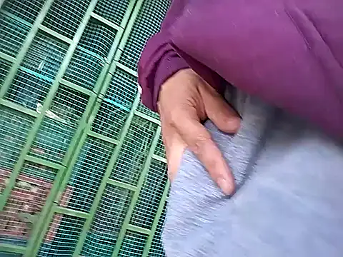 Angel 3-0 online show from November 2, 2025, 1:24 pm