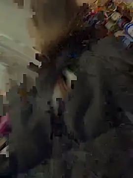 silentasachurchmouse online show from December 3, 2025, 4:16 pm