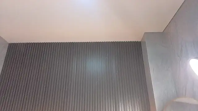 Terry tx online show from December 2, 2025, 1:05 pm