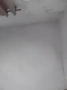 misteriosabb000 online show from February 13, 2026, 10:33 am