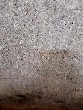 nagepalli online show from November 14, 2025, 3:49 am