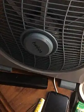 -bunny06 online show from October 2, 2025, 7:10 pm