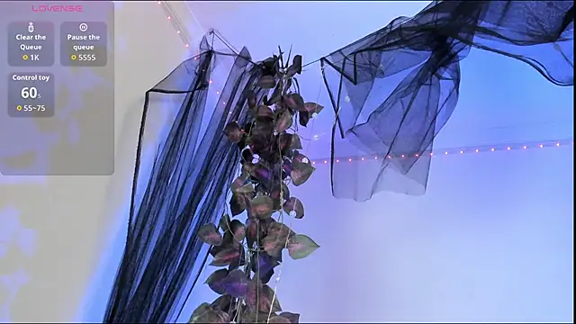 Shinny Crystal online show from October 22, 2025, 1:33 pm