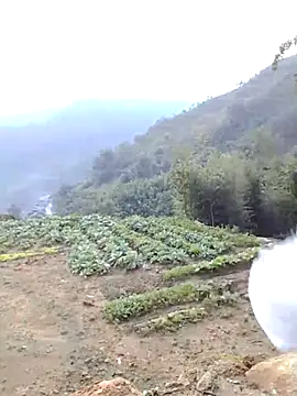 Bum 538 online show from November 23, 2025, 12:21 am