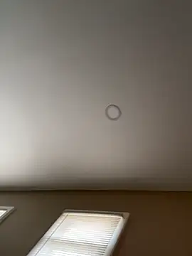 murphdolla online show from November 29, 2025, 2:42 pm