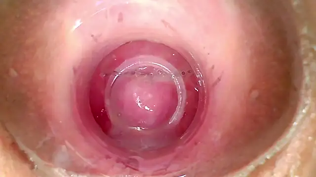 shannon kinne  online show from April 1, 2026, 2:25 pm