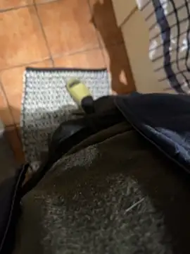 4dagals online show from April 1, 2026, 5:41 am