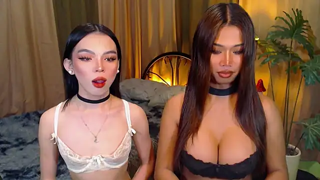 TWINKTRANSSHANEL online show from October 8, 2025, 4:32 am