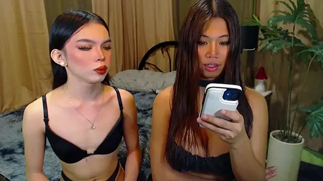 TWINKTRANSSHANEL online show from October 12, 2025, 4:33 am