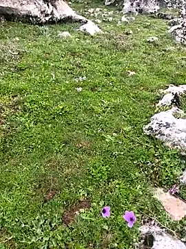 Sert erkek21 ysm online show from March 23, 2026, 10:19 am