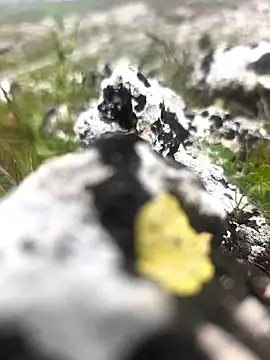 Sert erkek21 ysm online show from April 9, 2026, 1:27 pm