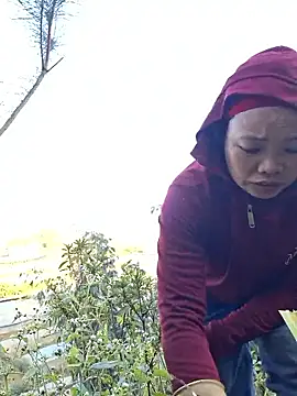 miomio-12 online show from November 25, 2025, 12:32 am