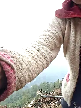 miomio-12 online show from March 26, 2026, 12:17 am