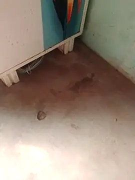 Tg sonam online show from December 23, 2025, 7:17 am