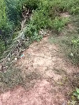 MalickKai online show from October 14, 2025, 10:49 am