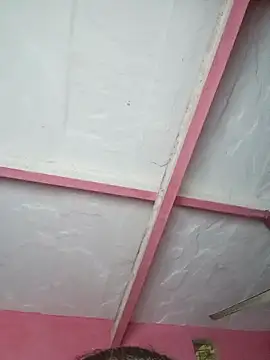 Ut kanchna online show from November 15, 2025, 2:35 pm