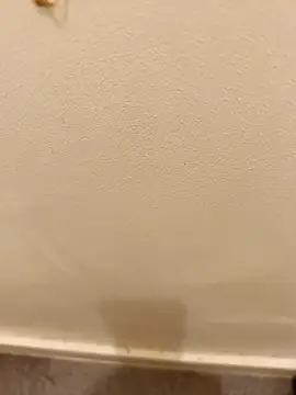  Gabriela 5Live online show from November 10, 2025, 5:12 pm