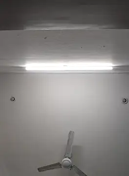 Anchal-8798 online show from November 8, 2025, 6:07 pm