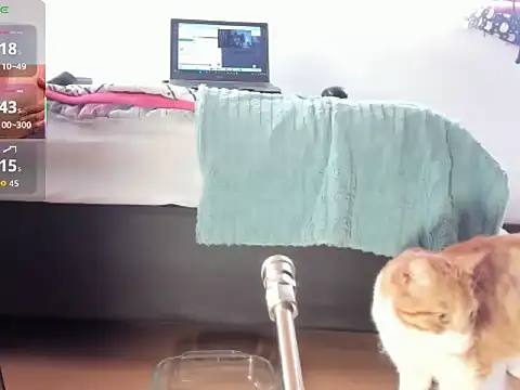   Aragon   online show from November 4, 2025, 2:38 pm