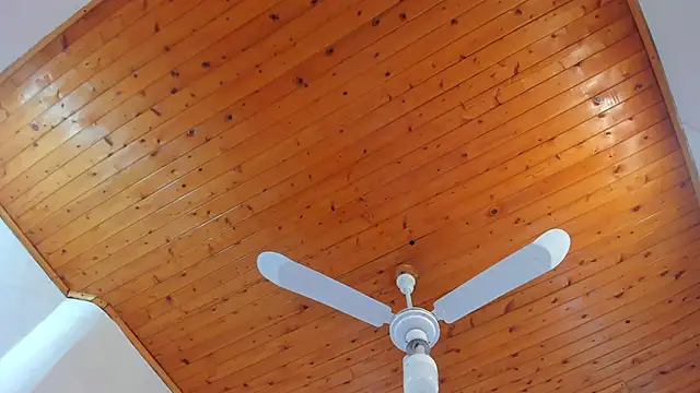 denisse khan online show from October 17, 2025, 11:46 am