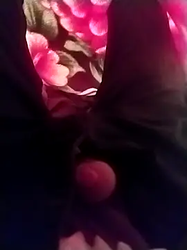 Playboyx143xh online show from November 17, 2025, 10:32 am