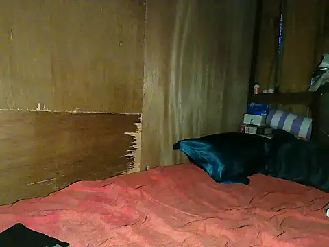 wildcat30 online show from November 1, 2025, 10:23 pm