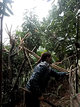 nat-tri online show from January 7, 2026, 5:32 am