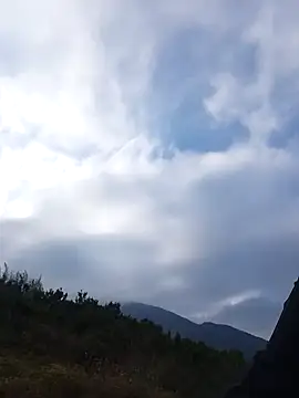 siusiu-00 online show from November 22, 2025, 8:24 am