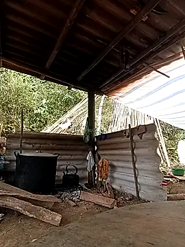 -Kem-01 online show from February 26, 2026, 5:17 am