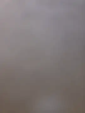 shainnfk online show from March 5, 2026, 12:06 am