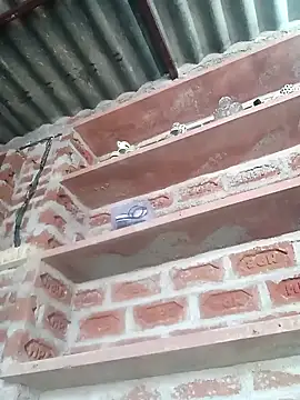 Rajni chauhan online show from February 19, 2026, 6:09 am