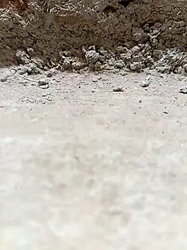 Rajni chauhan online show from March 25, 2026, 4:13 pm