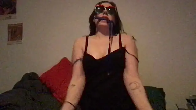 wet alleycat online show from February 17, 2026, 7:16 am