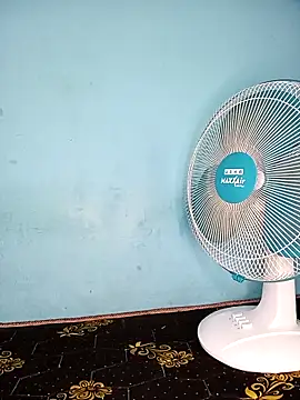 Deepa telugu online show from March 18, 2026, 7:22 am