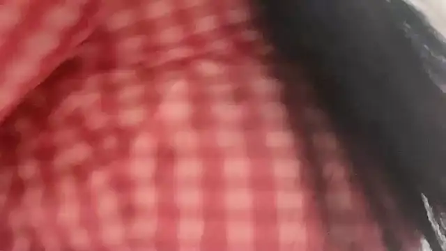 lsevenlll online show from November 28, 2025, 12:35 am