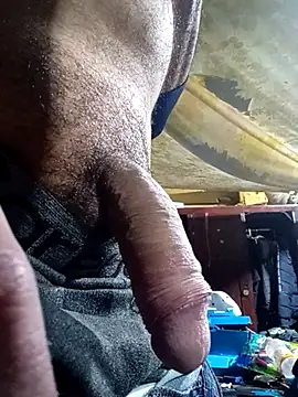 Cogelonregio online show from December 4, 2025, 4:00 am