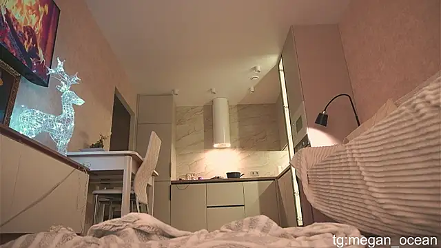 Megan galactica online show from November 30, 2025, 4:11 pm